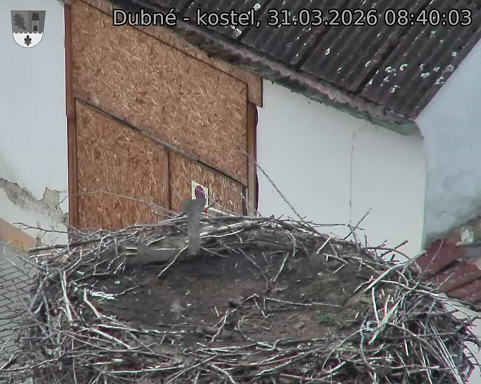 Capi_Dubne_20260331_084003.jpg (1350&nbsp;x&nbsp;1080)