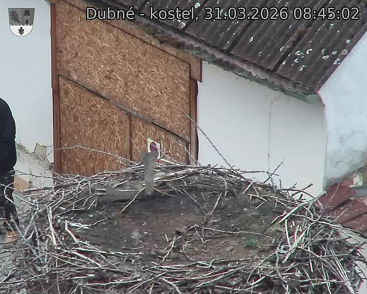 Capi_Dubne_20260331_084502.jpg (1350&nbsp;x&nbsp;1080)
