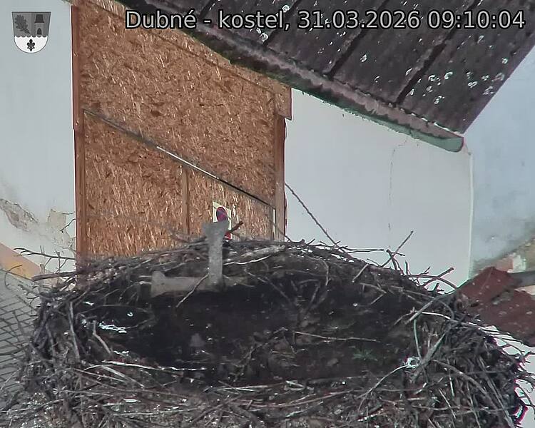 Capi_Dubne_20260331_091004.jpg (1350&nbsp;x&nbsp;1080)