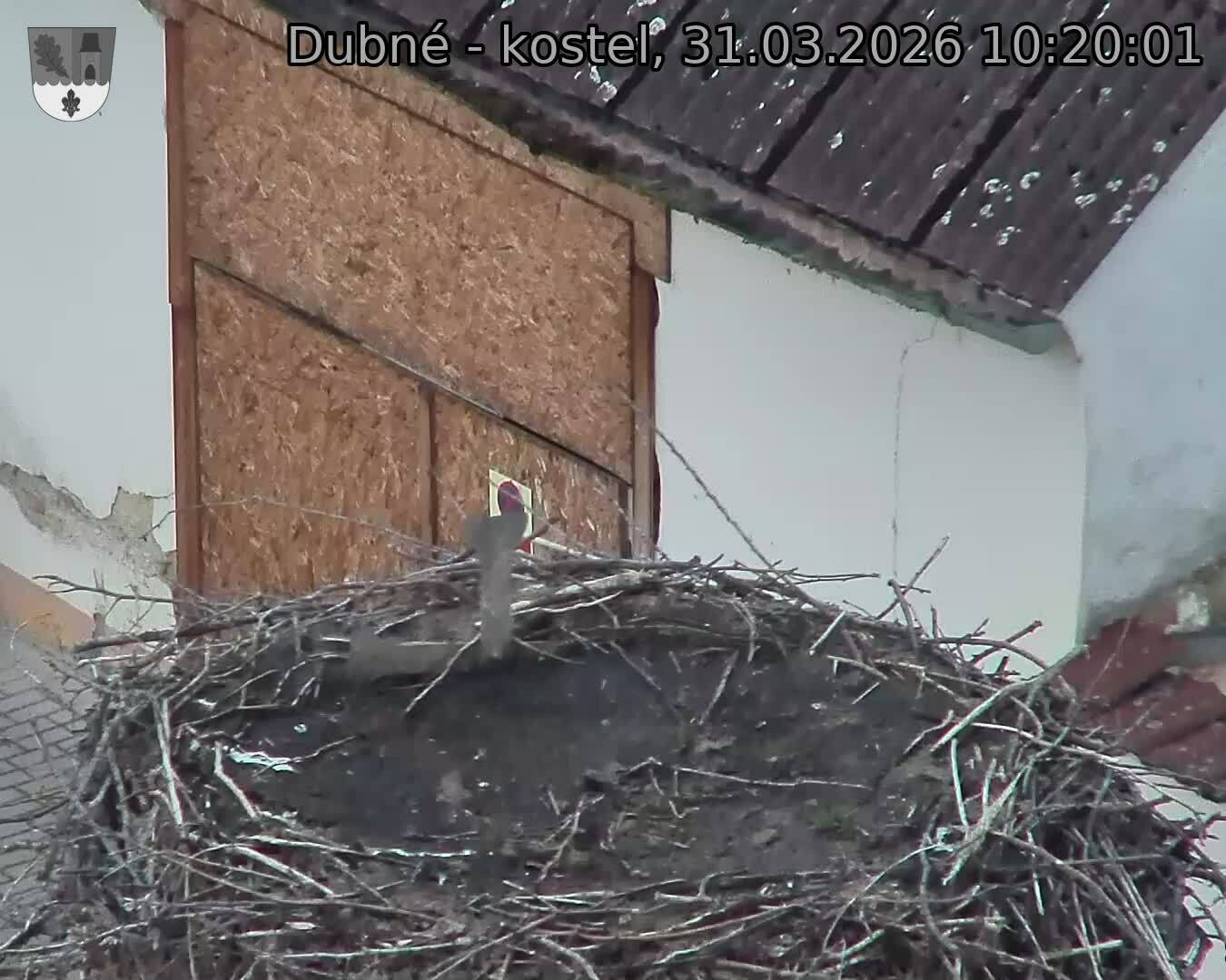 Capi_Dubne_20260331_102001.jpg (1350&nbsp;x&nbsp;1080)