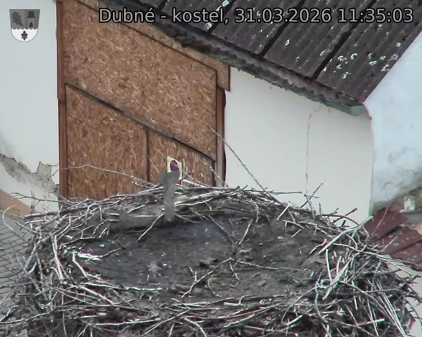 Capi_Dubne_20260331_113503.jpg (1350&nbsp;x&nbsp;1080)
