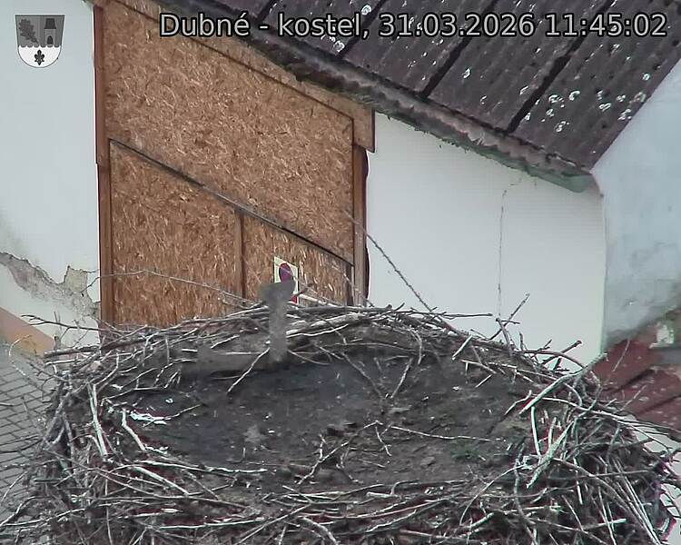 Capi_Dubne_20260331_114502.jpg (1350&nbsp;x&nbsp;1080)