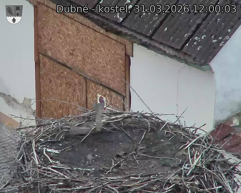 Capi_Dubne_20260331_120003.jpg (1350&nbsp;x&nbsp;1080)
