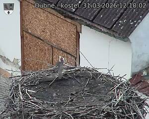 Capi_Dubne_20260331_121002.jpg (1350&nbsp;x&nbsp;1080)