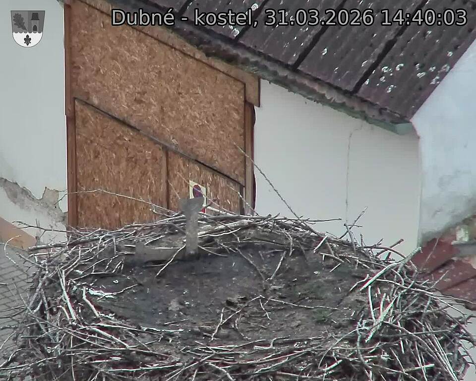 Capi_Dubne_20260331_144003.jpg (1350&nbsp;x&nbsp;1080)