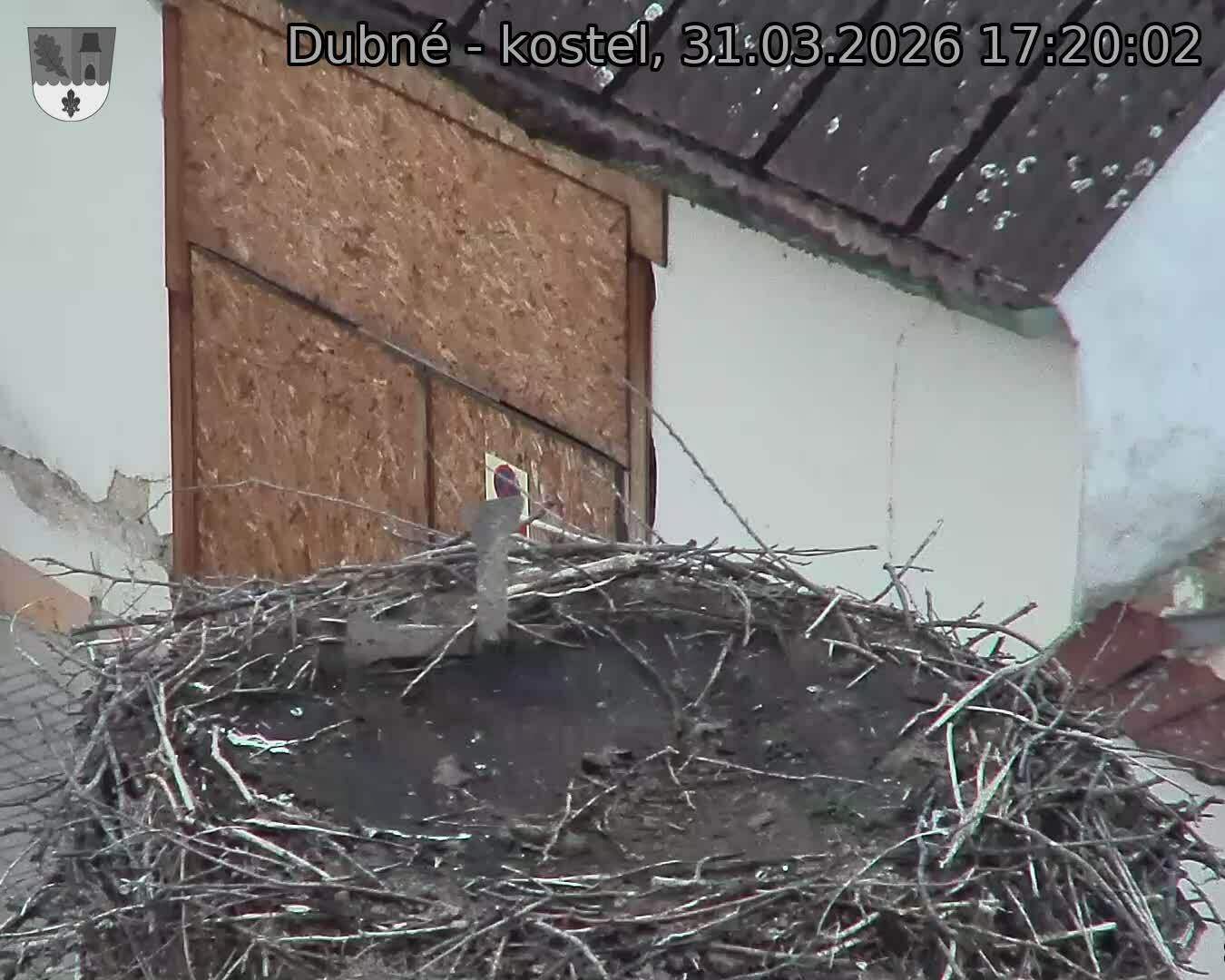 Capi_Dubne_20260331_172002.jpg (1350&nbsp;x&nbsp;1080)