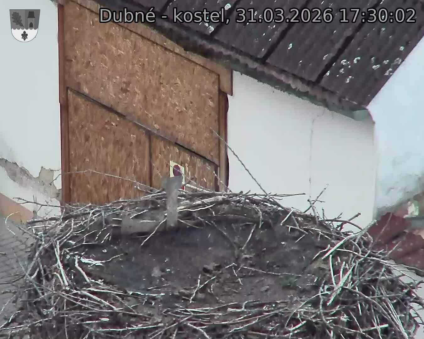 Capi_Dubne_20260331_173002.jpg (1350&nbsp;x&nbsp;1080)