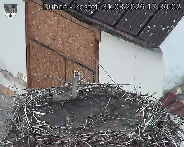 Capi_Dubne_20260331_173002.jpg (1350&nbsp;x&nbsp;1080)