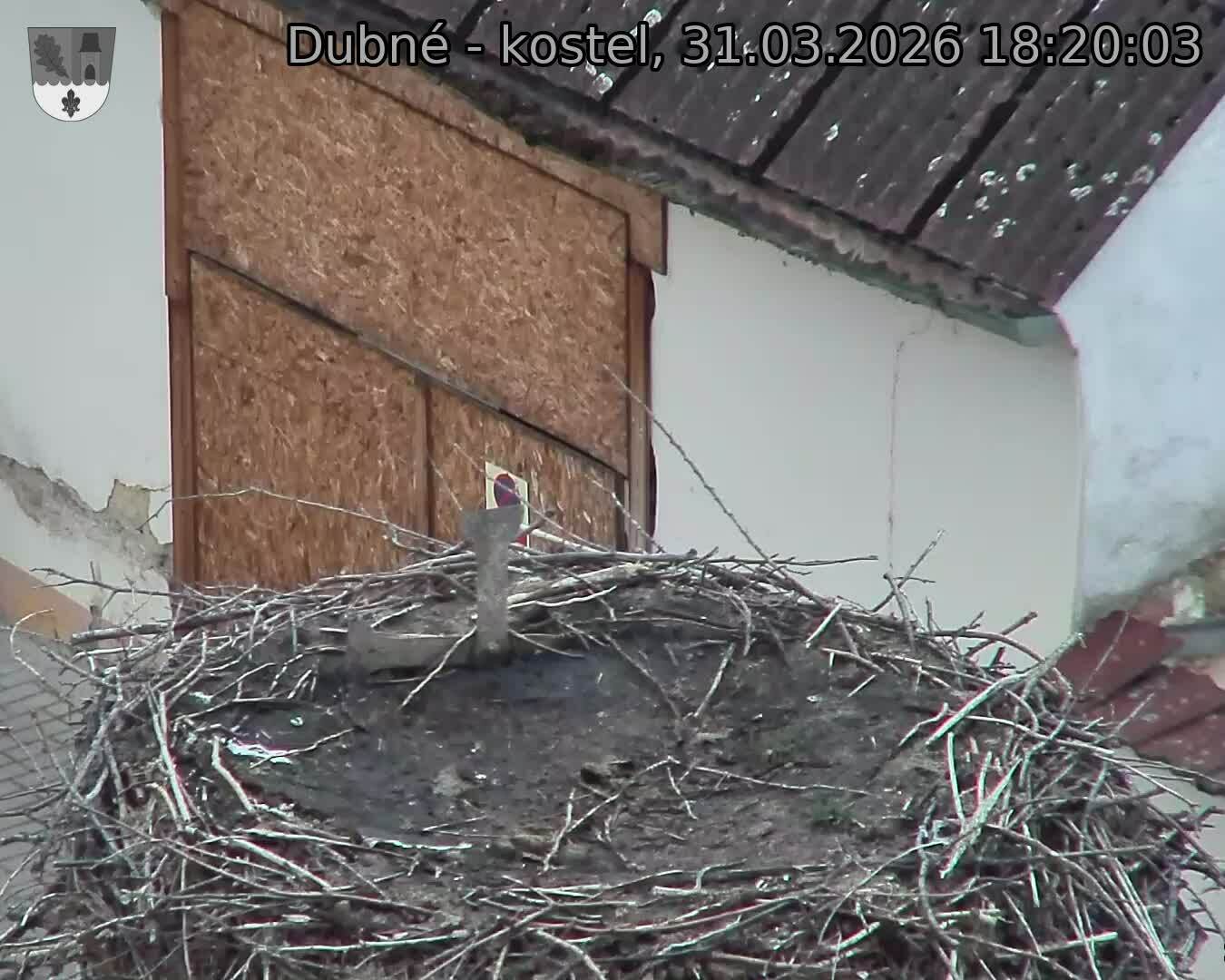 Capi_Dubne_20260331_182003.jpg (1350&nbsp;x&nbsp;1080)
