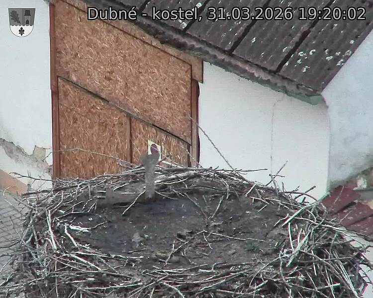 Capi_Dubne_20260331_192002.jpg (1350&nbsp;x&nbsp;1080)