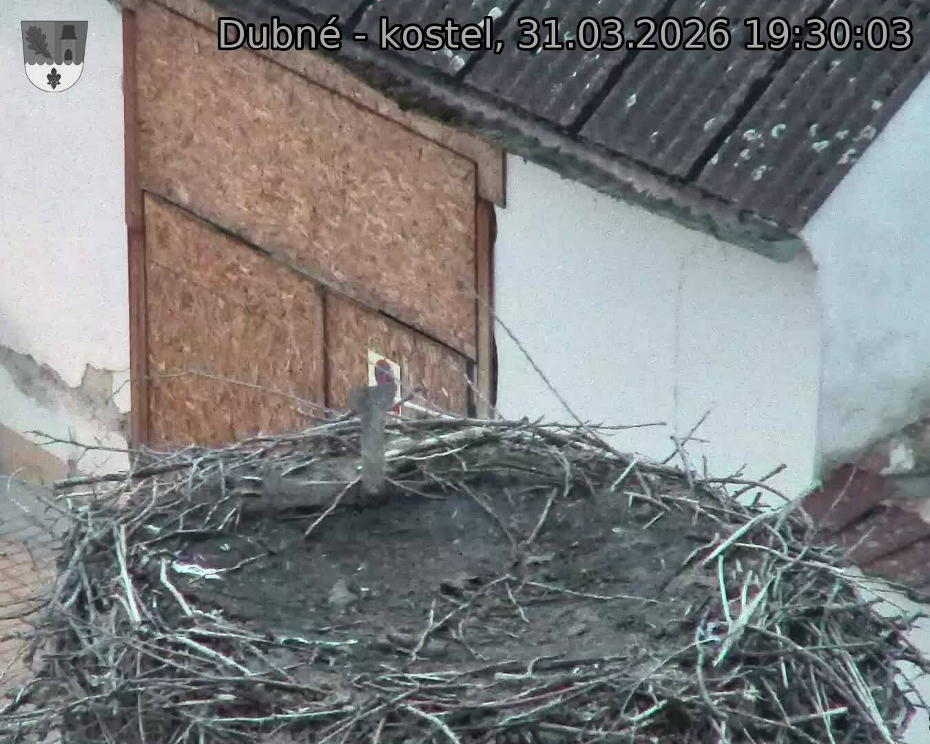 Capi_Dubne_20260331_193003.jpg (1350&nbsp;x&nbsp;1080)