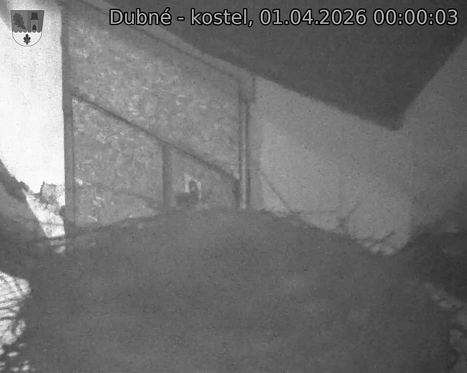 Capi_Dubne_20260401_000003.jpg (1350&nbsp;x&nbsp;1080)