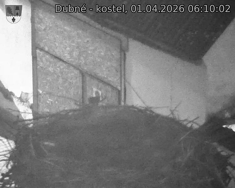 Capi_Dubne_20260401_061002.jpg (1350&nbsp;x&nbsp;1080)