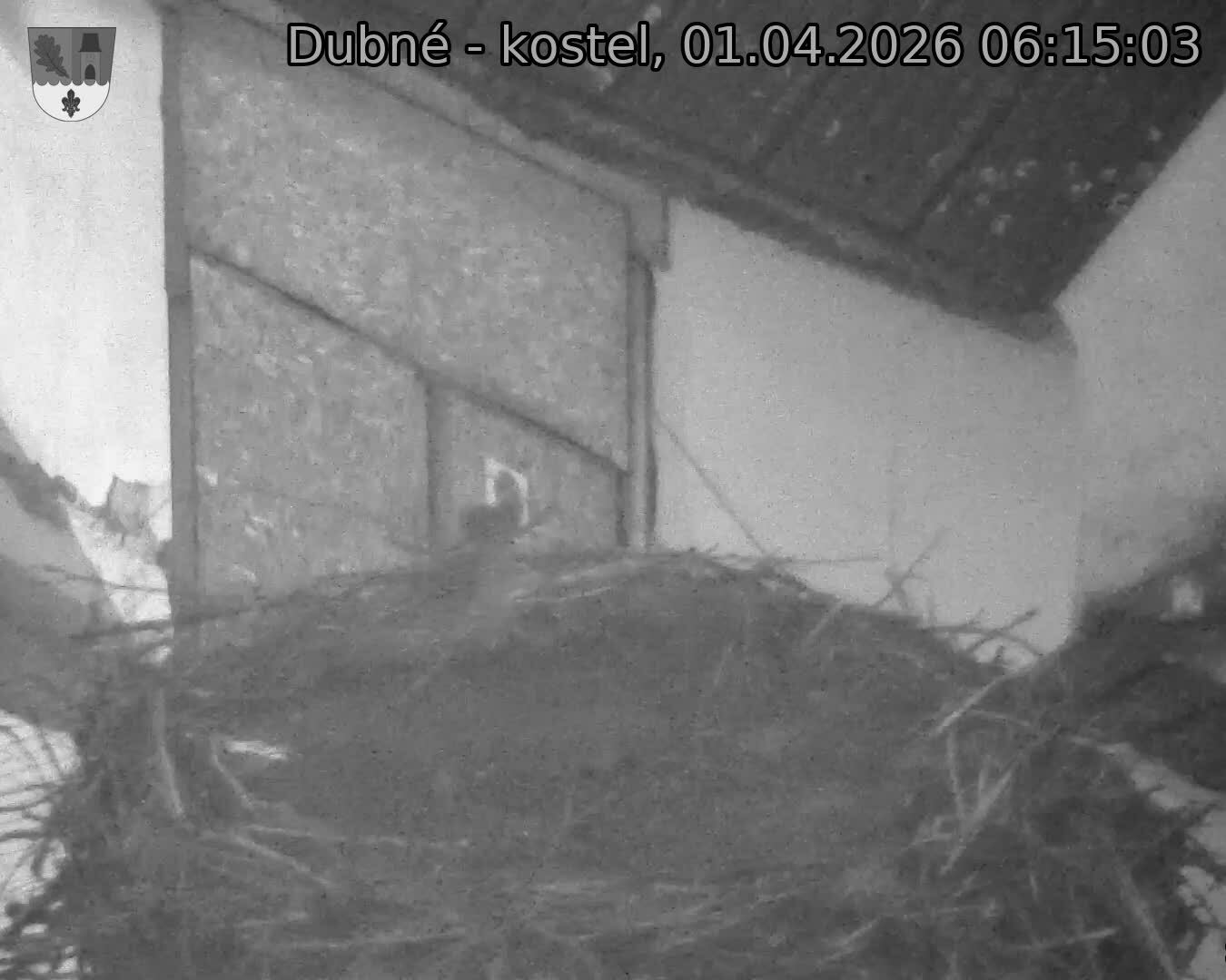 Capi_Dubne_20260401_061503.jpg (1350&nbsp;x&nbsp;1080)
