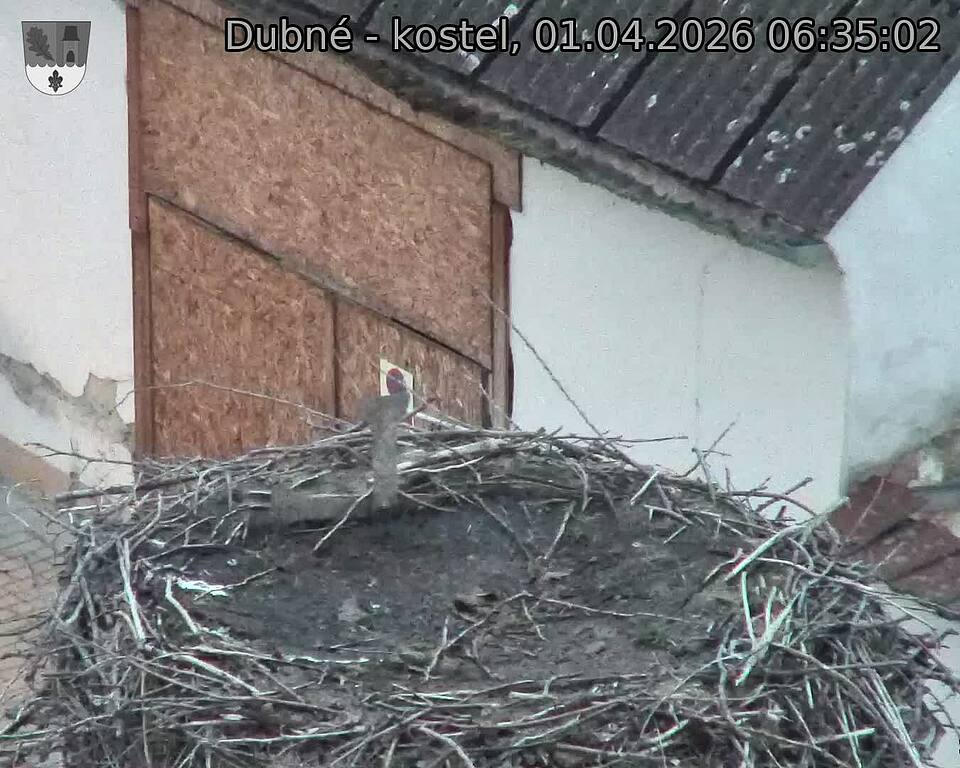 Capi_Dubne_20260401_063502.jpg (1350&nbsp;x&nbsp;1080)