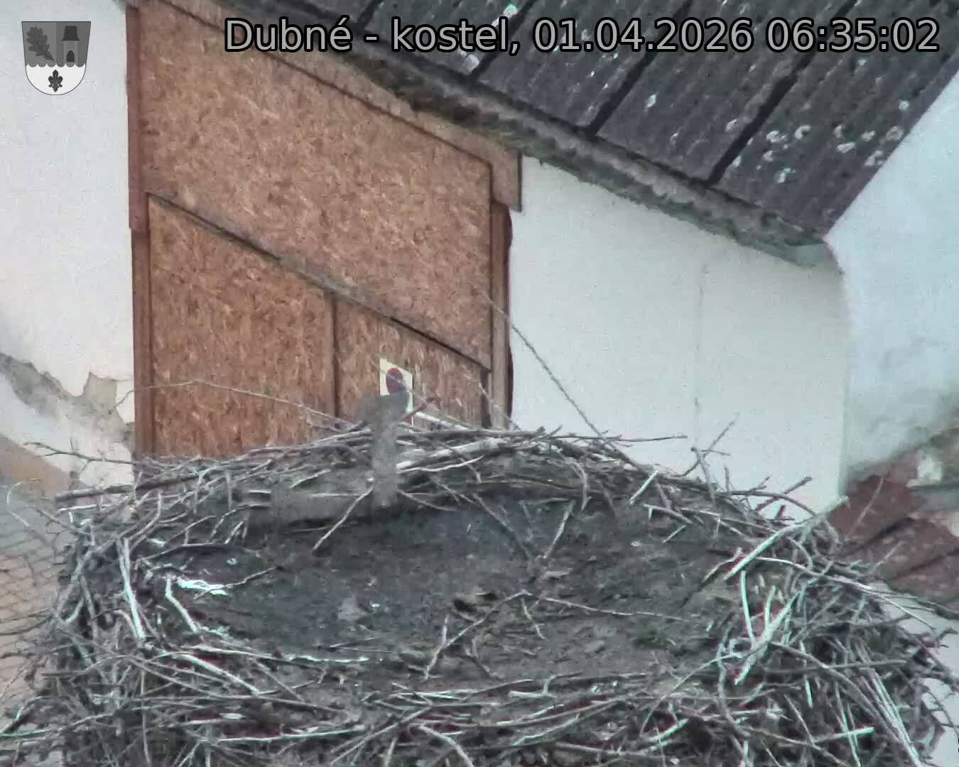 Capi_Dubne_20260401_063502.jpg (1350&nbsp;x&nbsp;1080)