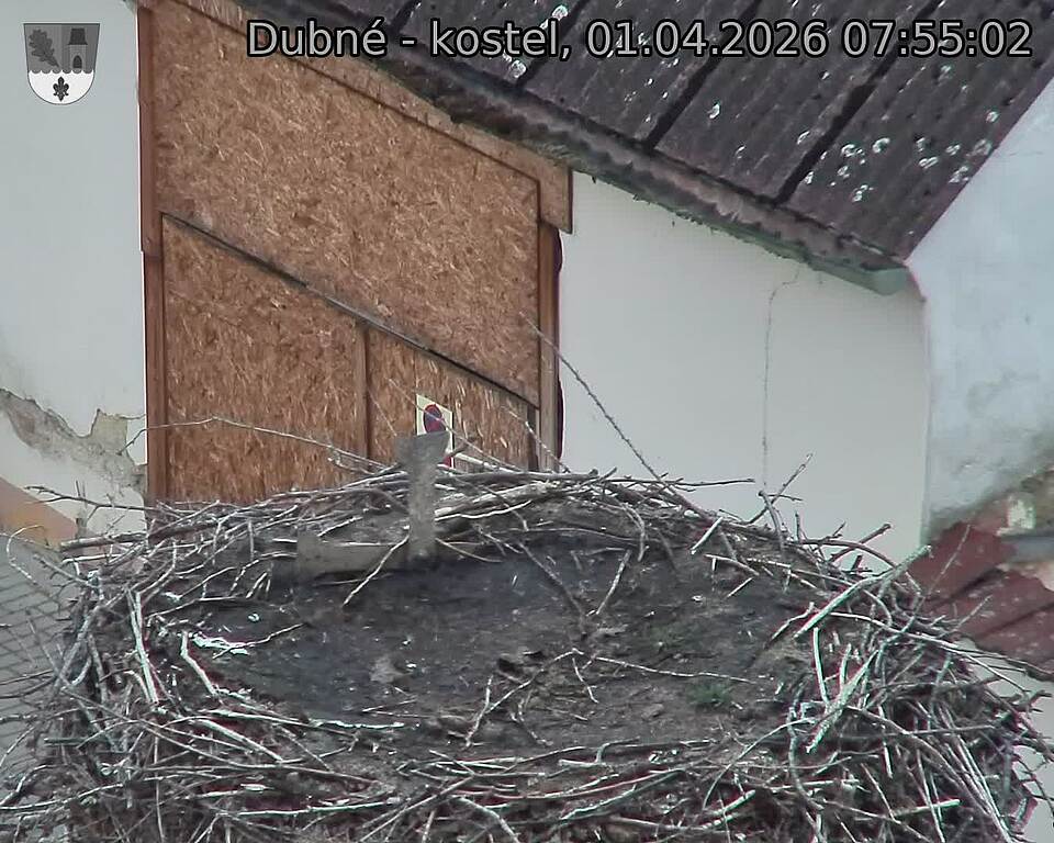 Capi_Dubne_20260401_075502.jpg (1350&nbsp;x&nbsp;1080)