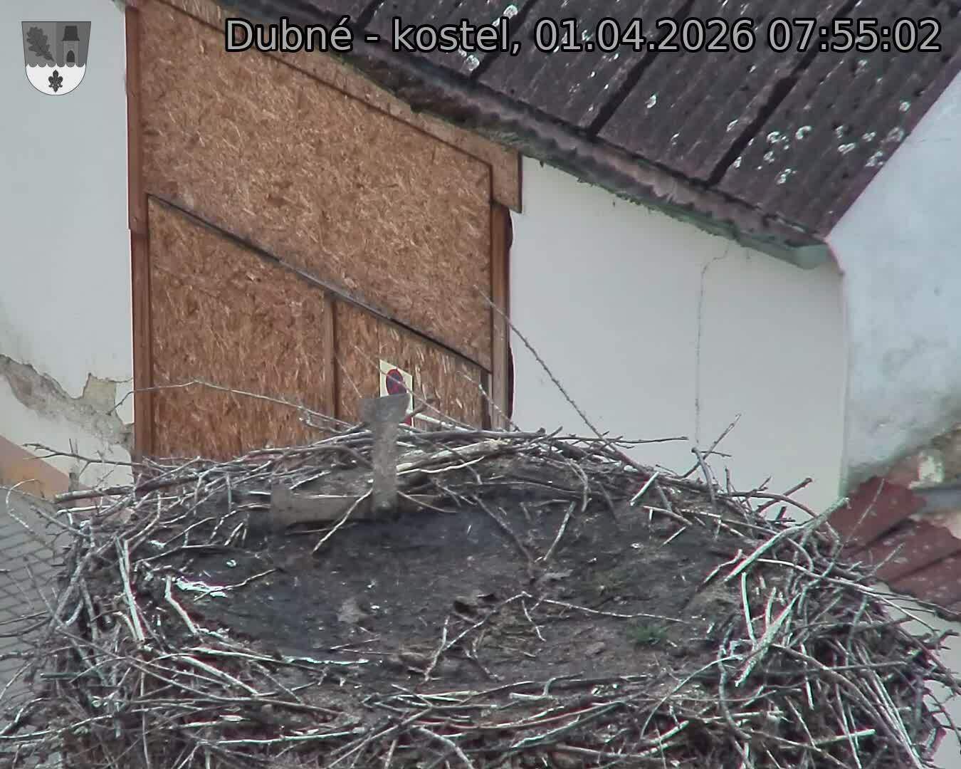 Capi_Dubne_20260401_075502.jpg (1350&nbsp;x&nbsp;1080)