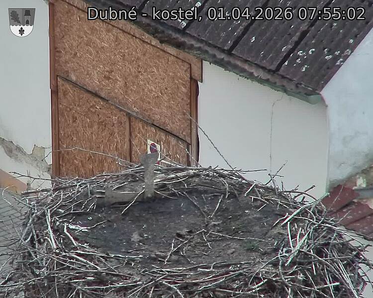 Capi_Dubne_20260401_075502.jpg (1350&nbsp;x&nbsp;1080)