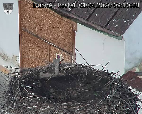 Capi_Dubne_20260401_091003.jpg (1350&nbsp;x&nbsp;1080)