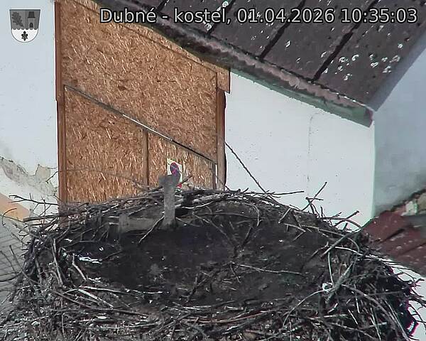 Capi_Dubne_20260401_103503.jpg (1350&nbsp;x&nbsp;1080)