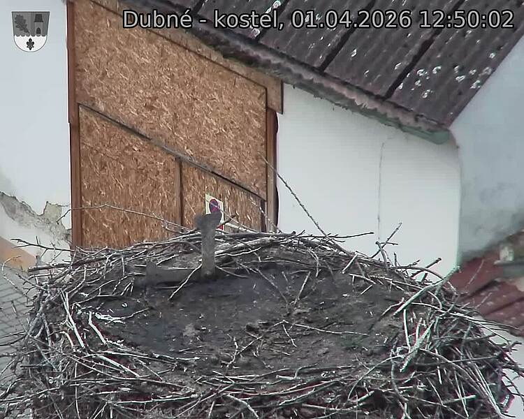 Capi_Dubne_20260401_125002.jpg (1350&nbsp;x&nbsp;1080)