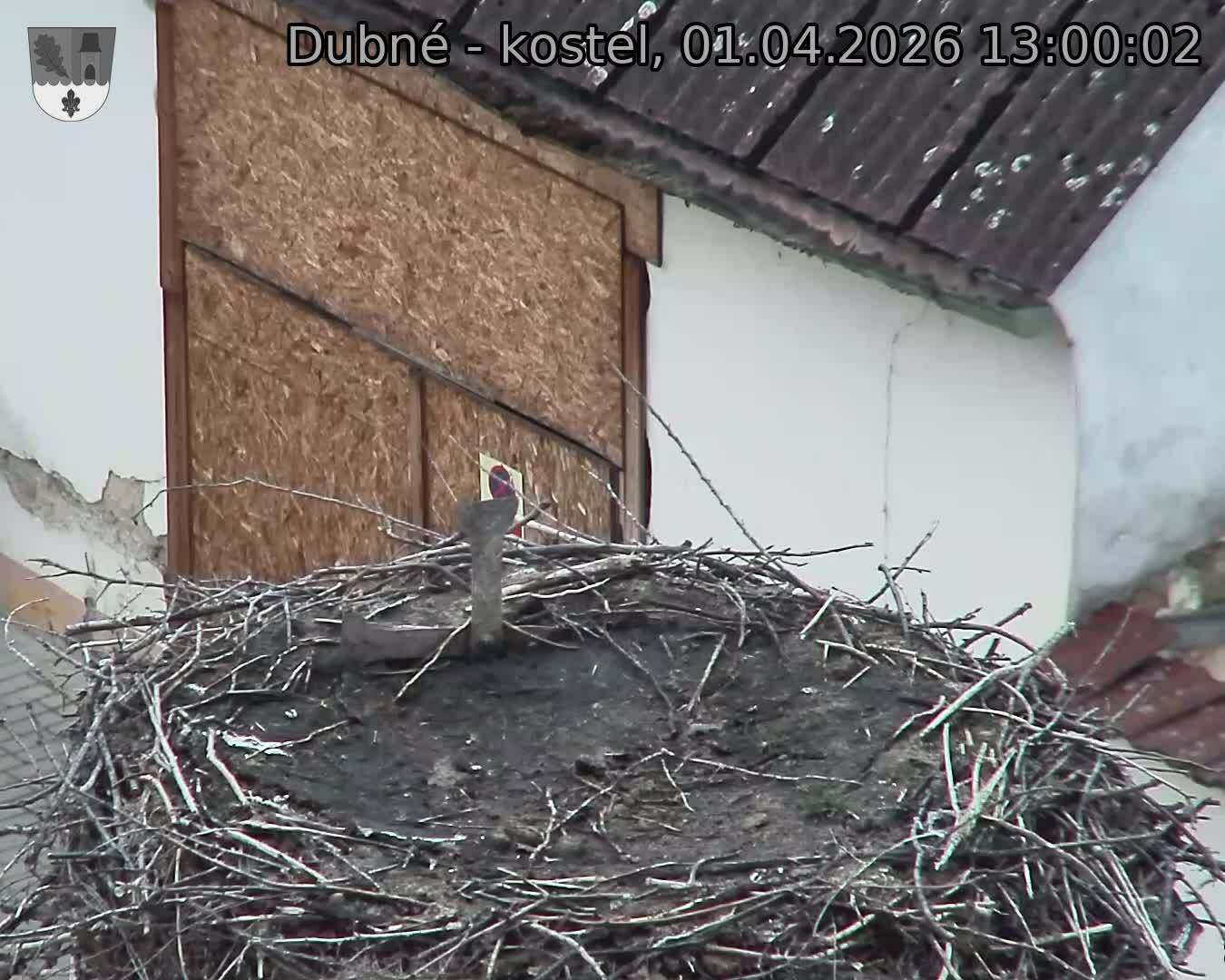 Capi_Dubne_20260401_130002.jpg (1350&nbsp;x&nbsp;1080)
