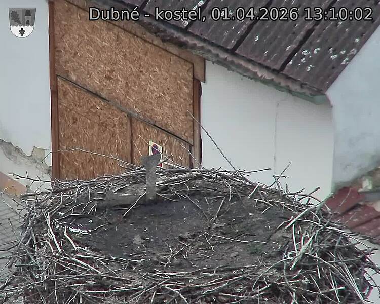 Capi_Dubne_20260401_131002.jpg (1350&nbsp;x&nbsp;1080)