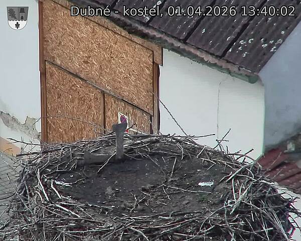 Capi_Dubne_20260401_134002.jpg (1350&nbsp;x&nbsp;1080)