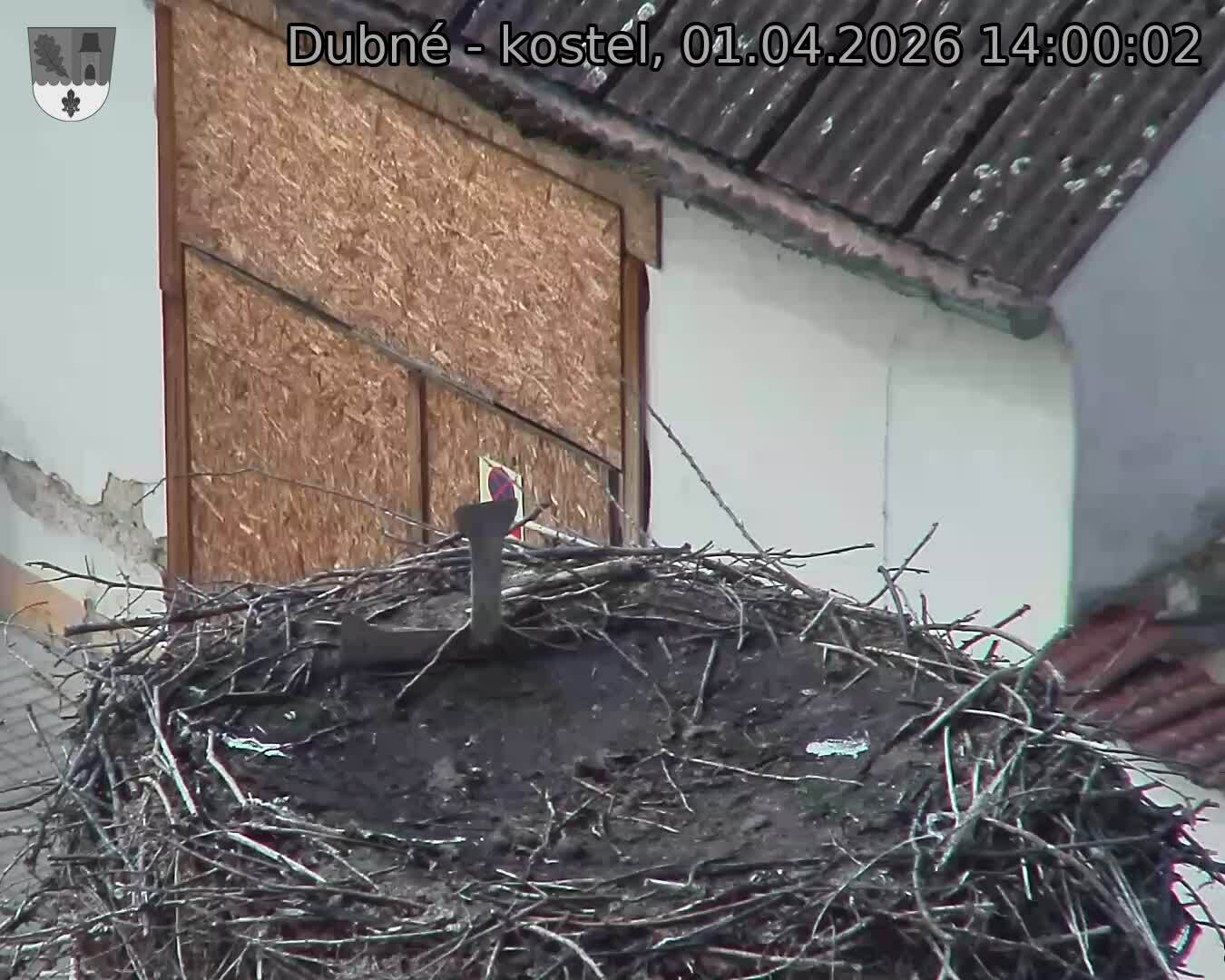 Capi_Dubne_20260401_140002.jpg (1350&nbsp;x&nbsp;1080)