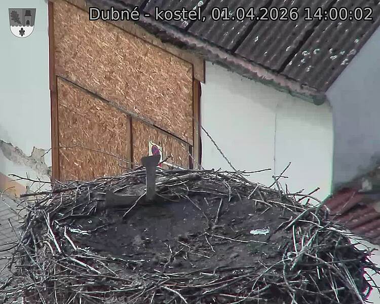 Capi_Dubne_20260401_140002.jpg (1350&nbsp;x&nbsp;1080)