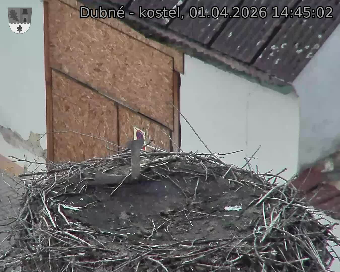 Capi_Dubne_20260401_144502.jpg (1350&nbsp;x&nbsp;1080)