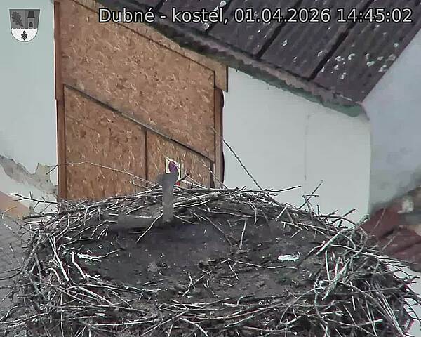 Capi_Dubne_20260401_144502.jpg (1350&nbsp;x&nbsp;1080)