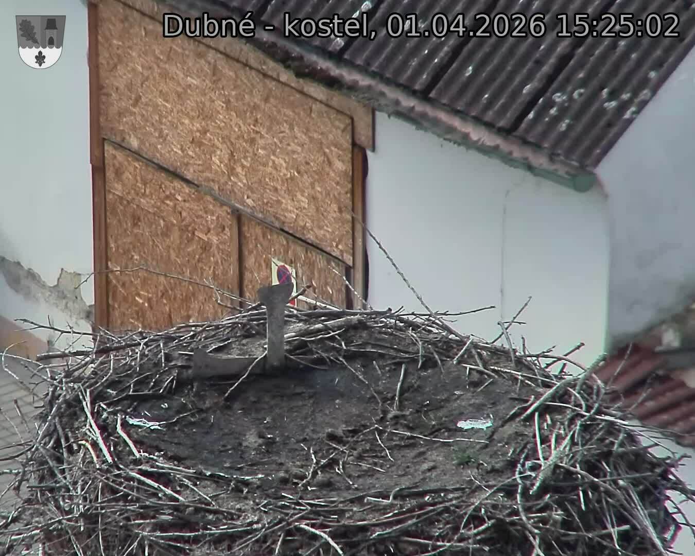 Capi_Dubne_20260401_152503.jpg (1350&nbsp;x&nbsp;1080)