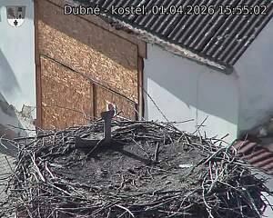 Capi_Dubne_20260401_155502.jpg (1350&nbsp;x&nbsp;1080)