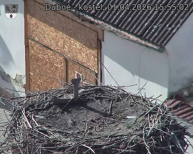 Capi_Dubne_20260401_155502.jpg (1350&nbsp;x&nbsp;1080)