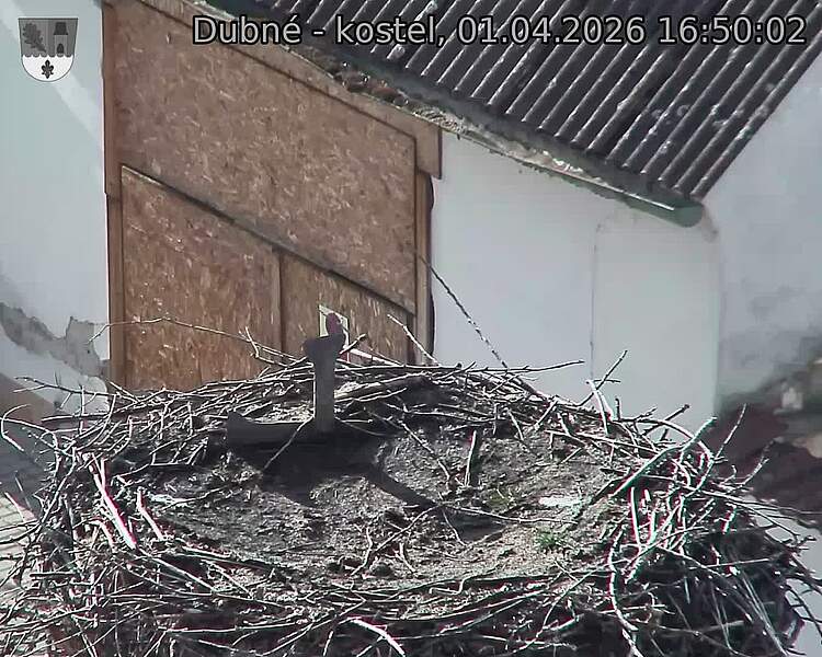 Capi_Dubne_20260401_165002.jpg (1350&nbsp;x&nbsp;1080)