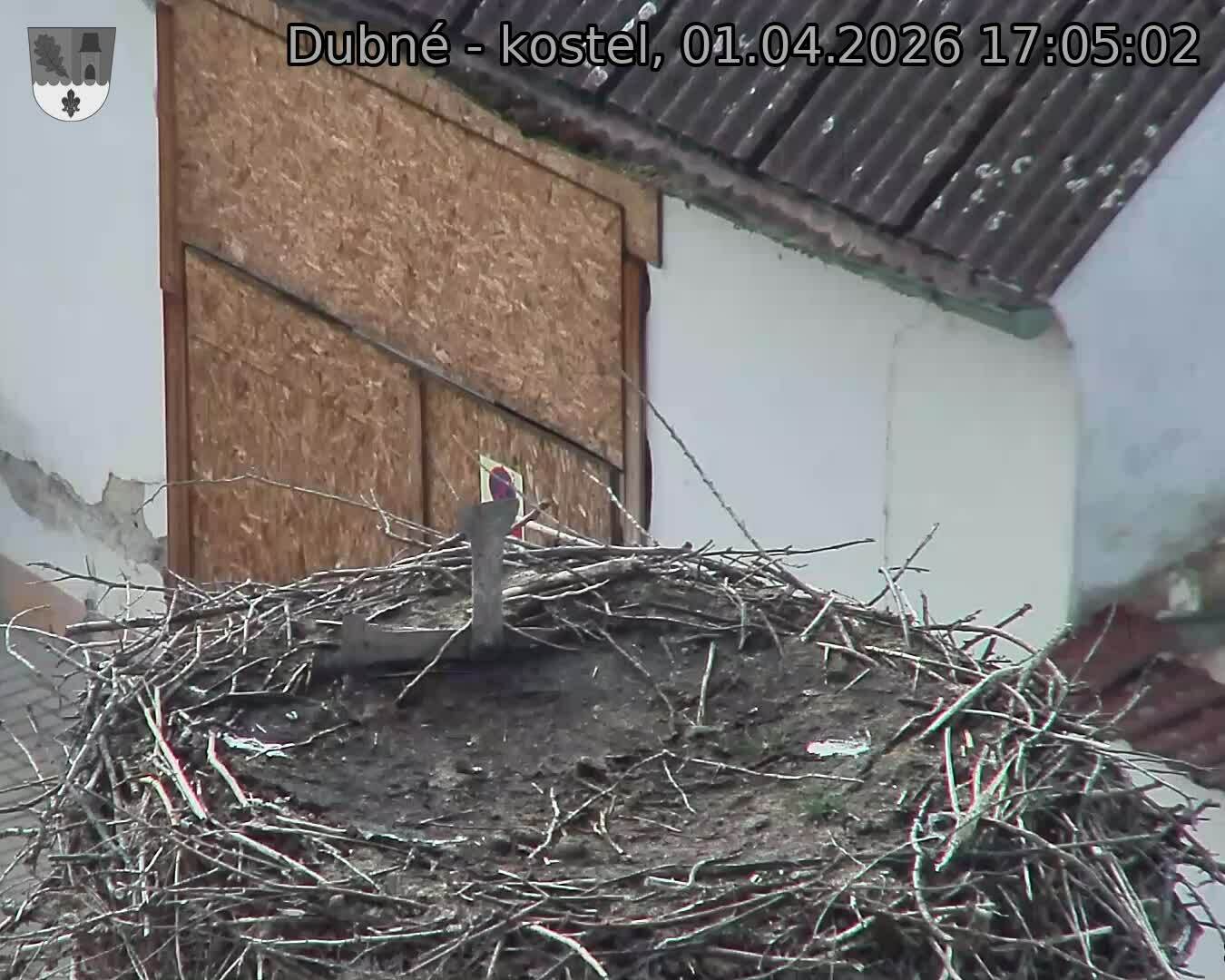 Capi_Dubne_20260401_170502.jpg (1350&nbsp;x&nbsp;1080)