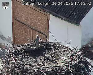 Capi_Dubne_20260401_171502.jpg (1350&nbsp;x&nbsp;1080)