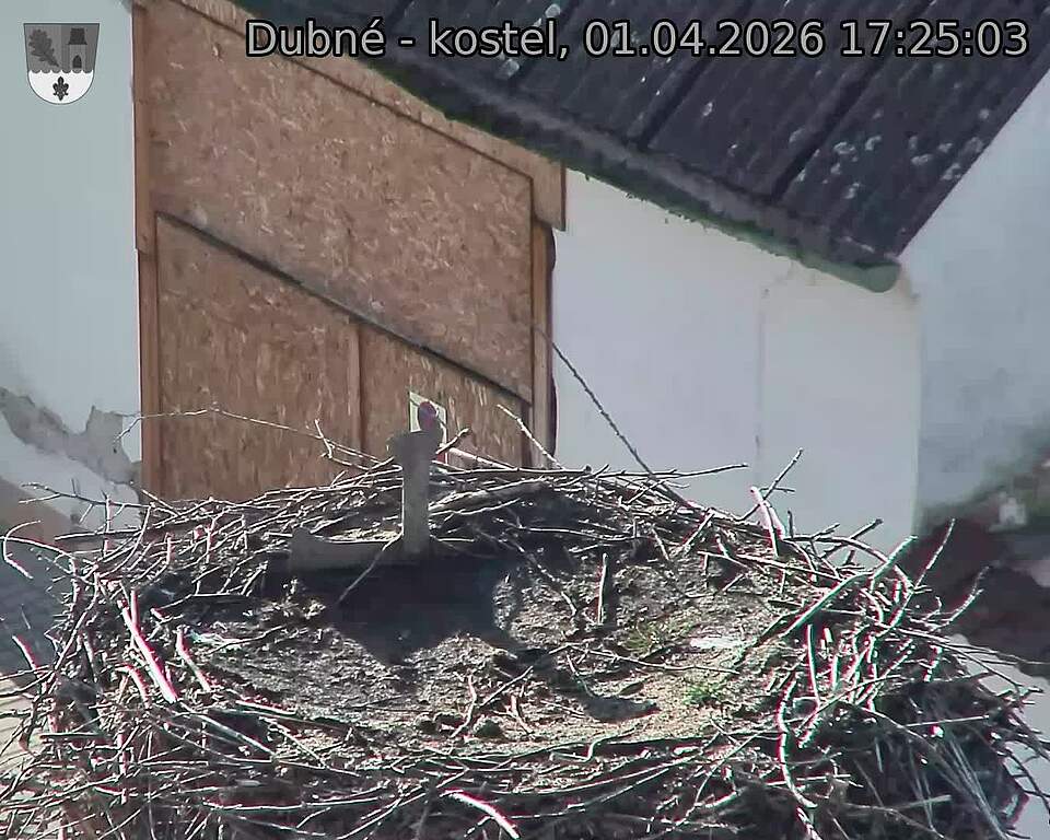 Capi_Dubne_20260401_172503.jpg (1350&nbsp;x&nbsp;1080)