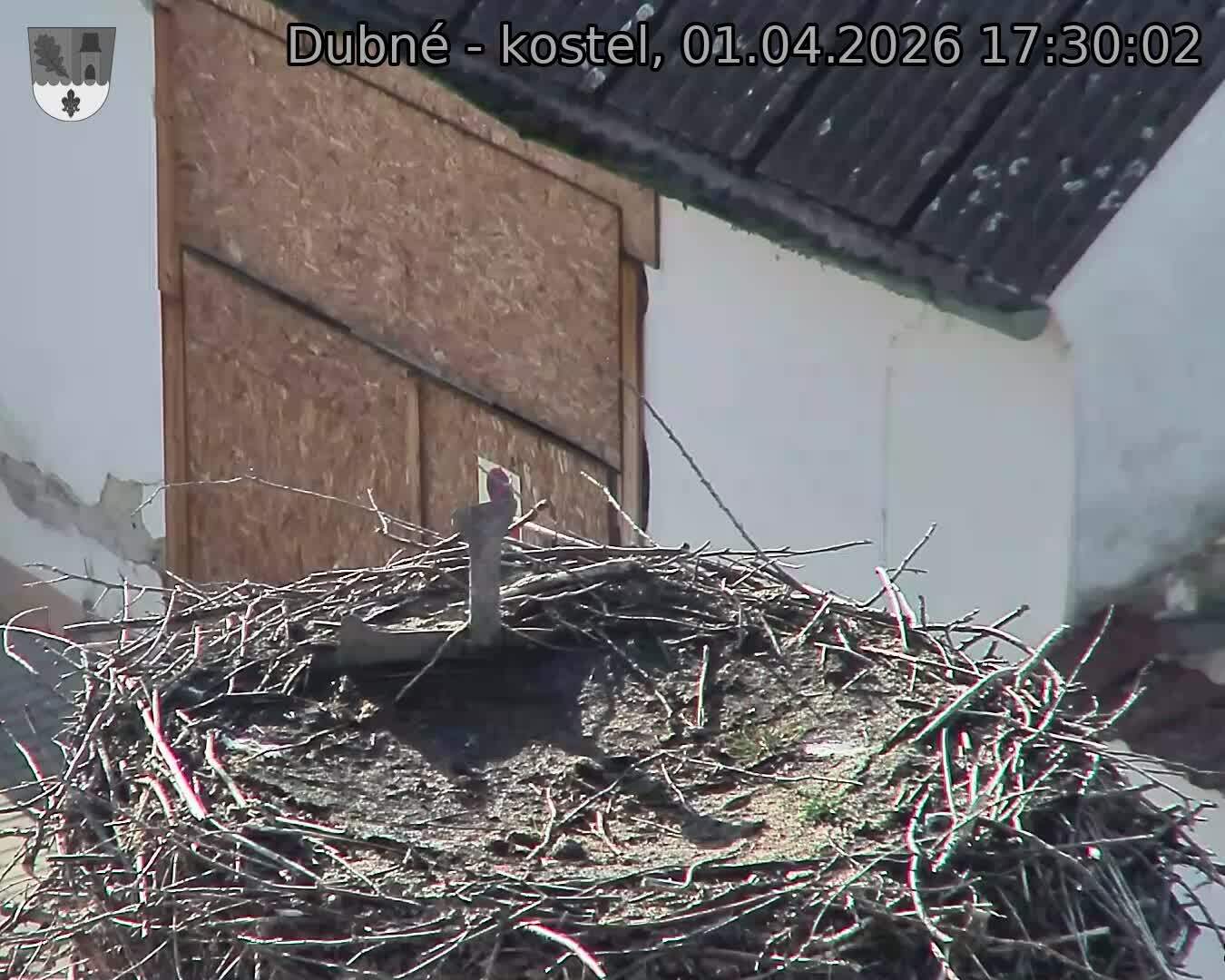 Capi_Dubne_20260401_173002.jpg (1350&nbsp;x&nbsp;1080)
