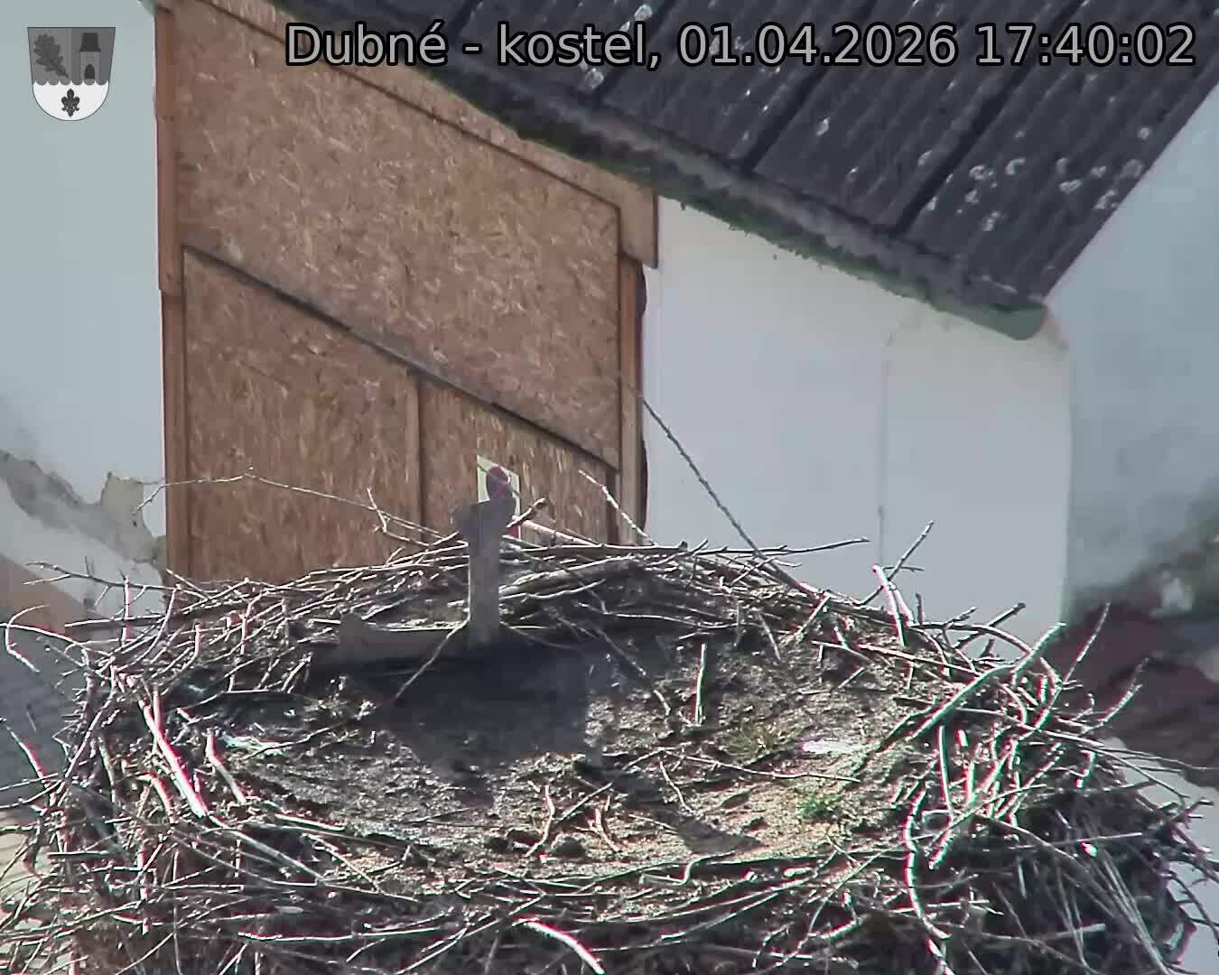 Capi_Dubne_20260401_174002.jpg (1350&nbsp;x&nbsp;1080)