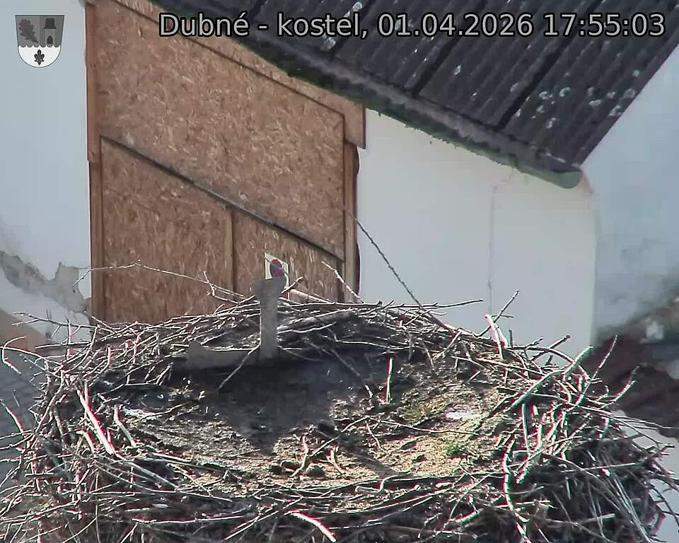 Capi_Dubne_20260401_175503.jpg (1350&nbsp;x&nbsp;1080)