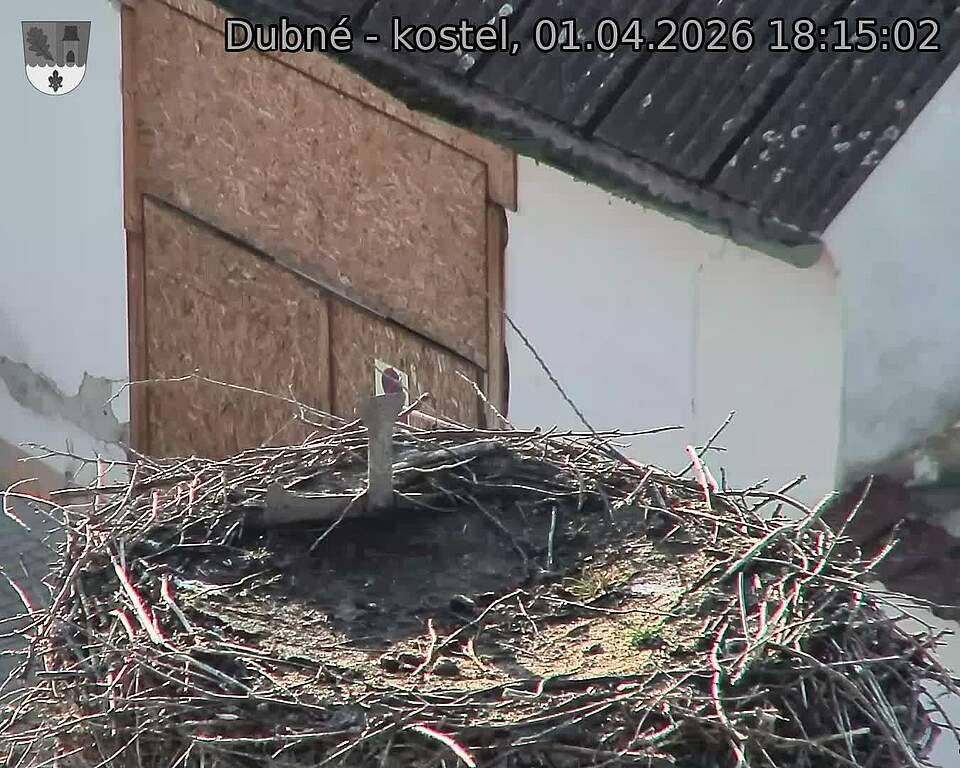 Capi_Dubne_20260401_181502.jpg (1350&nbsp;x&nbsp;1080)