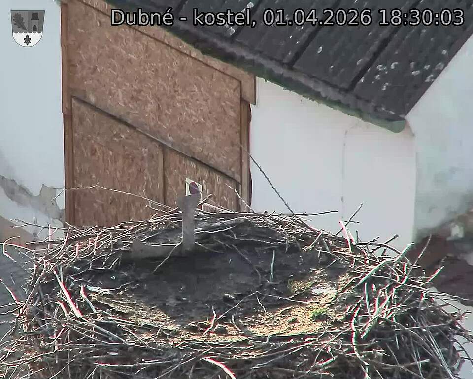 Capi_Dubne_20260401_183003.jpg (1350&nbsp;x&nbsp;1080)