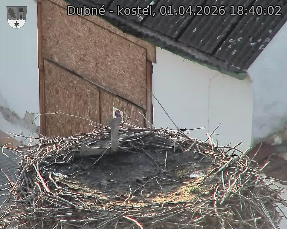Capi_Dubne_20260401_184002.jpg (1350&nbsp;x&nbsp;1080)