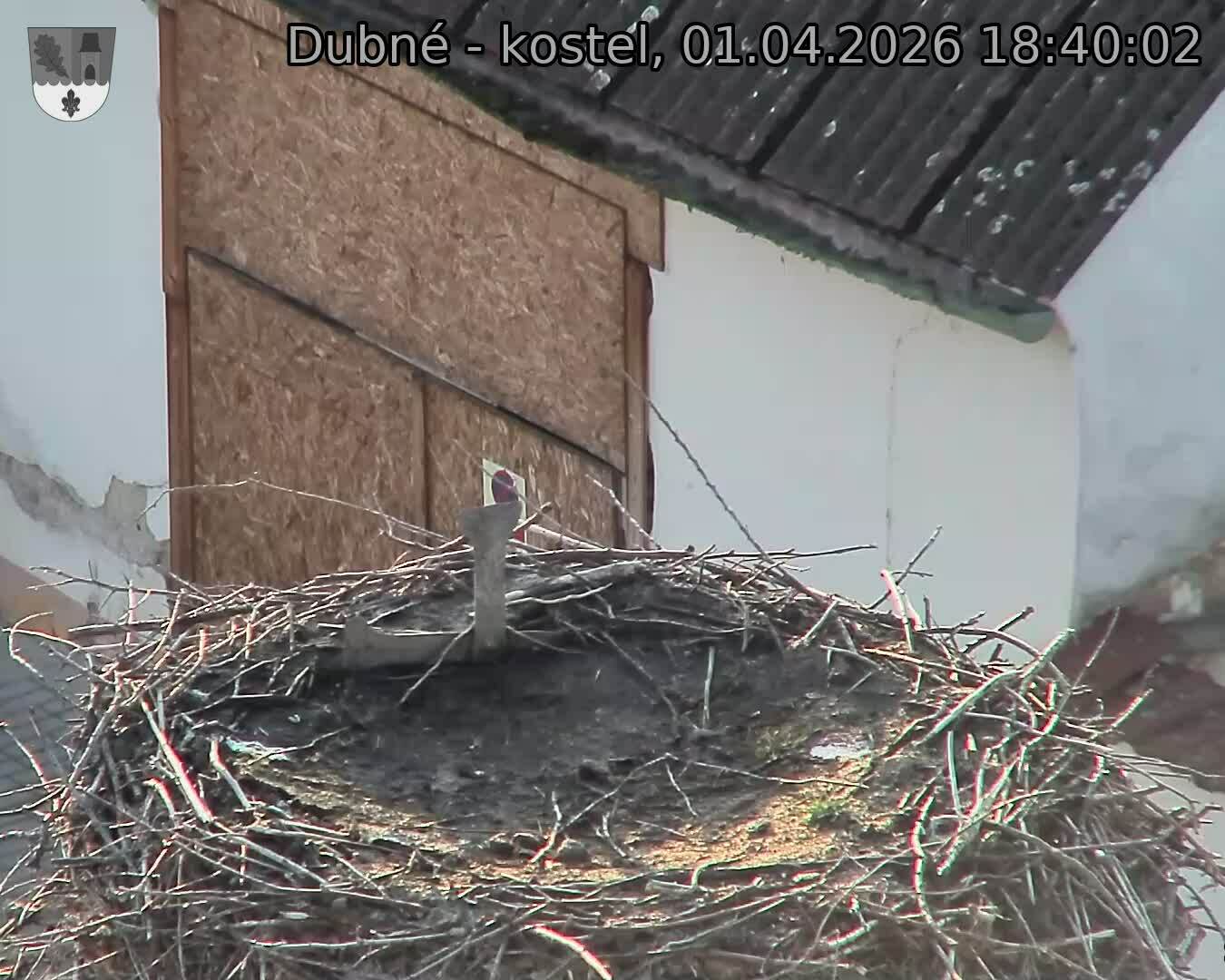 Capi_Dubne_20260401_184002.jpg (1350&nbsp;x&nbsp;1080)