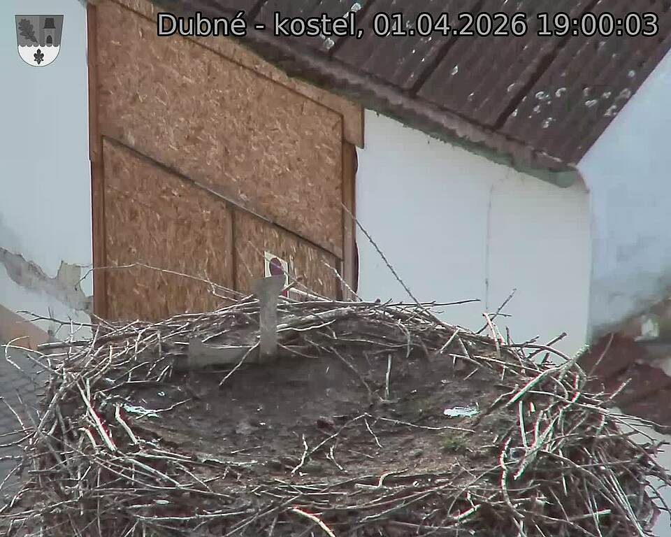 Capi_Dubne_20260401_190003.jpg (1350&nbsp;x&nbsp;1080)