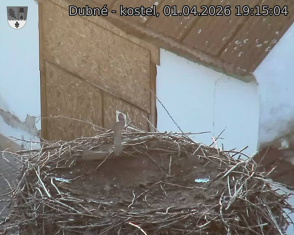 Capi_Dubne_20260401_191504.jpg (1350&nbsp;x&nbsp;1080)