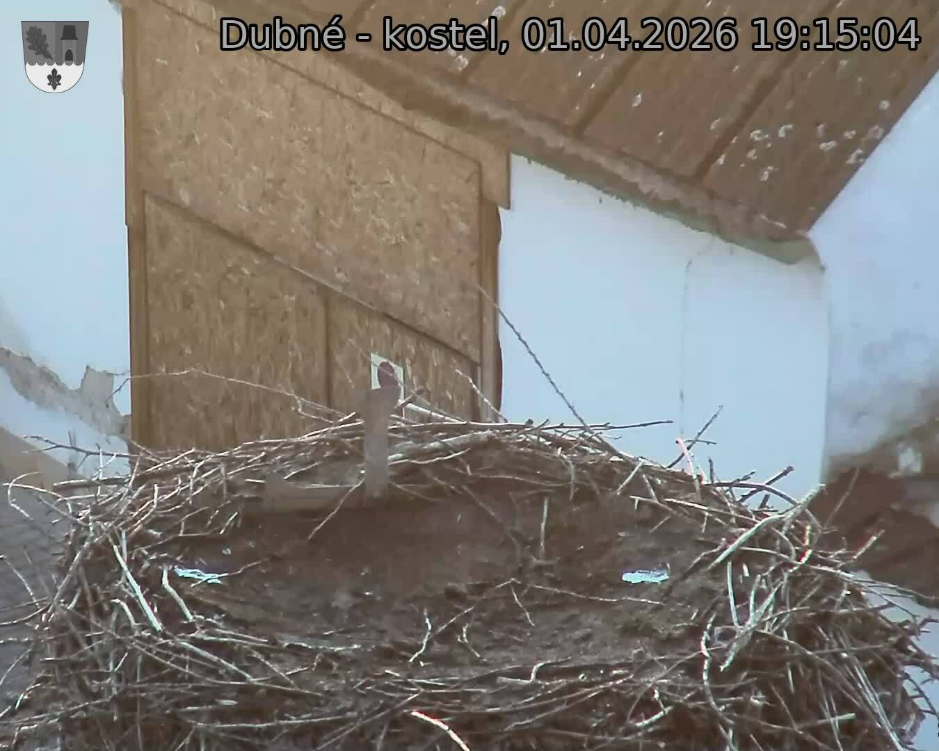 Capi_Dubne_20260401_191504.jpg (1350&nbsp;x&nbsp;1080)